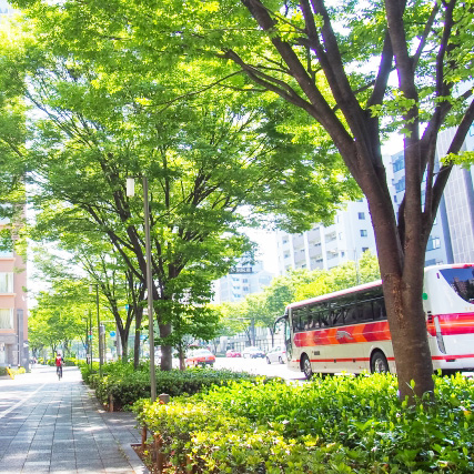 ゆずりあい駐車区画（パーキングパーミット制度）の説明