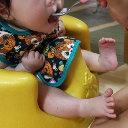 カミカミ・パクパク離乳食講習会（9カ月から11カ月児対象）の説明