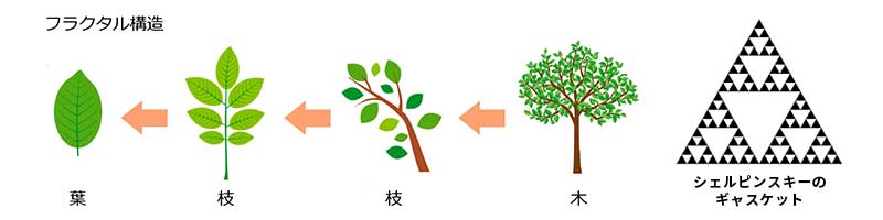 図1 自然界におけるフラクタル構造・シェルピンスキーのギャスケット図